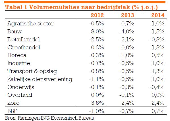 ING - Sectorgroei 2013